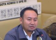 Rahmat Saleh: ASN ke IKN, Kebutuhan atau Ambisi Politik?