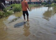 Perkembangan Situasi dan Penanganan Bencana 26 Mei 2025