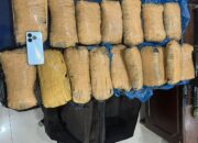Polda Sumbar Tangkap Pengedar Ganja di Agam, 17 Paket Besar Diamankan
