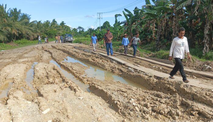 Diduga Dikorupsi, Proyek Pembangunan Jalan dan Normalisasi Jadi Sumber Kesengsaraan Masyarakat Adat Taileleu Mentawai