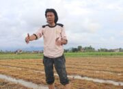 Sawah Pokoh Murah Tawarkan Langkah Efisien, Ramah Lingkungan dan Tahan Hama