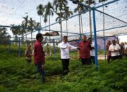 Kolaborasi Hijau: PT Semen Padang dan PPNP Tanam Harapan Lewat 2 Juta Bibit Kaliandra