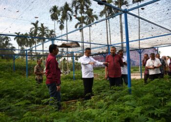 Kolaborasi Hijau: PT Semen Padang dan PPNP Tanam Harapan Lewat 2 Juta Bibit Kaliandra