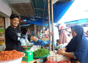 Harga Komoditas Pangan di Solok Selatan Terpantau Stabil