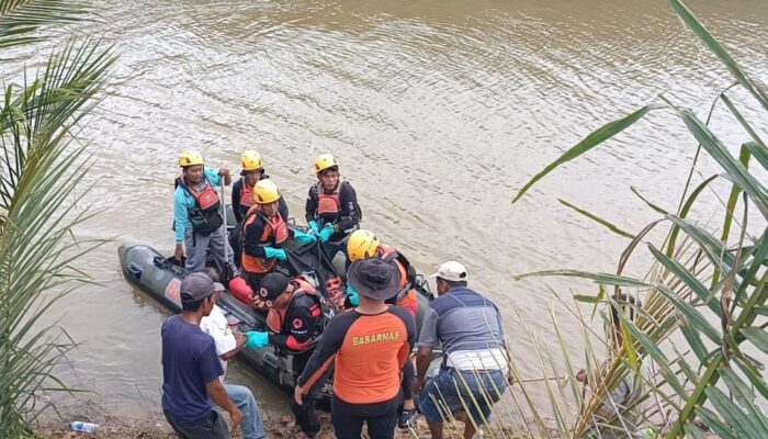 Korban Terkaman Buaya di Pasbar Ditemukan
