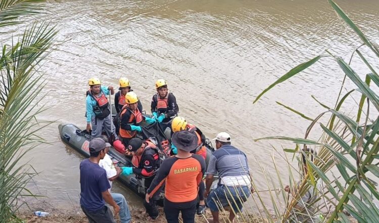 Tim gabungan SAR Pasaman berhasil menemukan jasad Depi Pahrizi (45), korban terkaman buaya dalam kondisi meninggal dunia, Rabu (14/5) sekitar pukul 11.47 WIB. IST