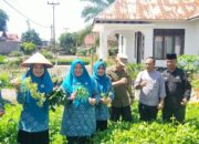 Nagari Tandikek Wakili Pasbar Lomba PKK Tingkat Sumbar