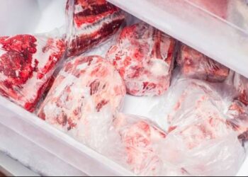 Batas Waktu Aman Menyimpan Daging di Freezer