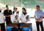 Sepasang Bayi Harimau Sumatera Lahir di TMSBK Bukittinggi, Titiek Soeharto Beri Nama Spesial