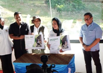 Sepasang Bayi Harimau Sumatera Lahir di TMSBK Bukittinggi, Titiek Soeharto Beri Nama Spesial