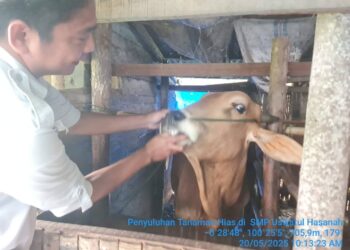 Jelang Iduladha, Pemko Padang Panjang Pastikan Kesehatan Hewan Kurban