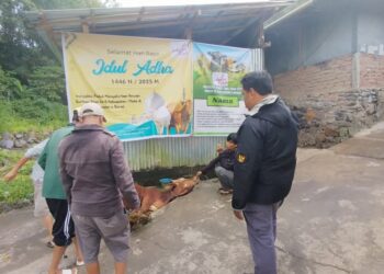 Sapi Bantuan Indojalito Peduli Disembelih di Musala Nurul Yaqin Pasar Usang