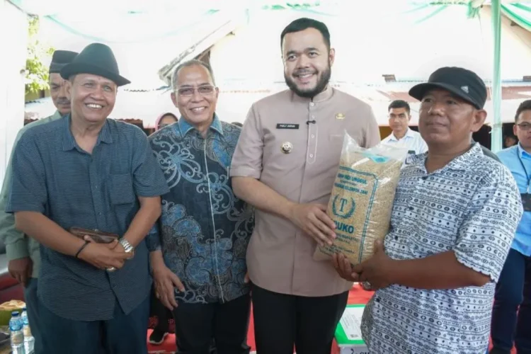 PT Semen Padang, bagian dari SIG Group, menyalurkan 250 kilogram benih padi unggul varietas Bujang Marantau kepada Kelompok Tani Kelok Banda di Kelurahan Piai Tangah, Kecamatan Pauh, Kota Padang. IST