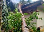 Perkembangan Situasi dan Penanganan Bencana Tanggal 1 Juni 2025