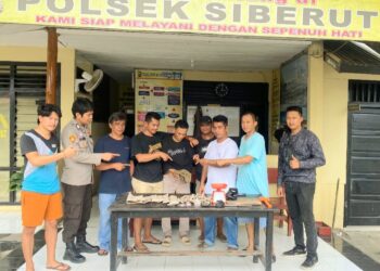 Polsek Siberut Tangkap Kepala Dusun Edarkan Ganja