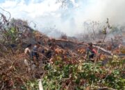 Perkembangan Situasi dan Penanganan Bencana di Tanah Air per 3 Juni 2025