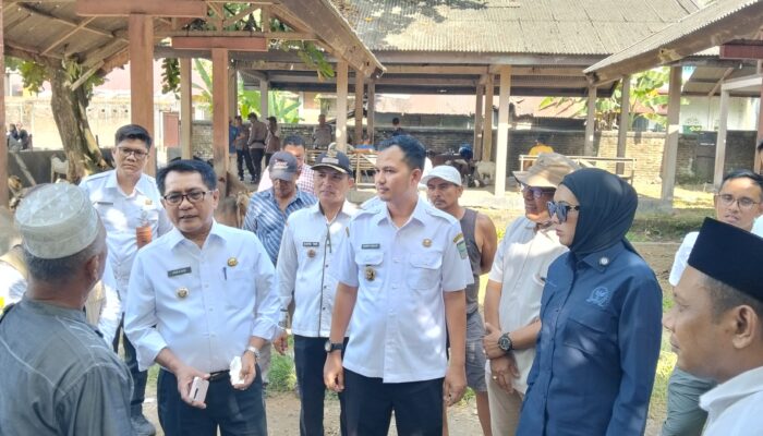 Jelang Iduladha 1446 H, Anggota DPR RI, Bupati dan Wabup Kunjungi Pasar Ternak Nagari Sungai Sariak