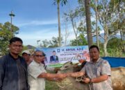 Idul Adha 1446 H, H. Arisal Aziz Laksanakan Ibadah Haji dan Siapkan 40 Ekor Sapi Kurban di Sumbar