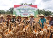 Polres Pasaman Barat dan Forkopimda Ikuti Zoom Meeting Panen Raya Jagung Serentak Kuartal II 2025