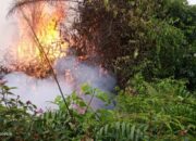 Perkembangan Situasi dan Penanganan Bencana 6 Juni 2025