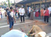 Kapolres Pasaman Salurkan 5 Ekor Sapi Kurban untuk Masyarakat di Hari Raya Iduladha