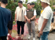 PemNag Batipuah Ateh Ucapkan Terima Kasih kepada Gubernur Sumbar atas Bantuan Sapi Kurban