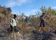 Perkembangan Situasi dan Penanganan Bencana di Tanah Air per 10 Juni 2025