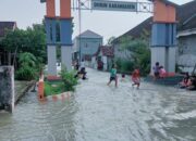 Perkembangan Situasi dan Penanganan Bencana di Tanah Air per 11 Juni 2025