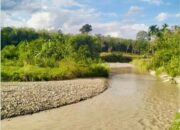 Praktisi Desak Gubernur Sumbar Tindak Tegas Tambang Ilegal di Sungai Batang Sibinail