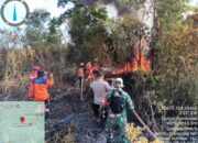 Perkembangan Situasi dan Penanganan Bencana Tanggal 16 Juni 2025