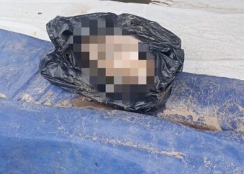 Potongan Kepala Ditemukan di Pelalangan Ikan Koto Tangah, Diduga Korban Mutilasi di Batang Anai