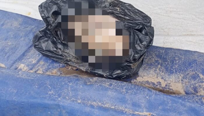 Potongan Kepala Ditemukan di Pelalangan Ikan Koto Tangah, Diduga Korban Mutilasi di Batang Anai