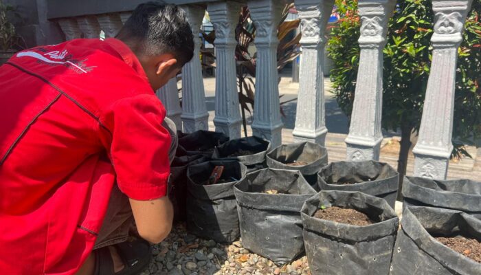 WBP Rutan Batusangkar Budidayakan Jahe dalam Polybag: Inovasi Ketahanan Pangan di Tengah Keterbatasan Lahan