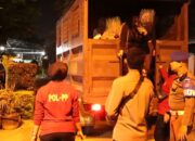 18 Remaja Diamankan Satpol PP Padang Saat Operasi Malam Tahun Baru Islam