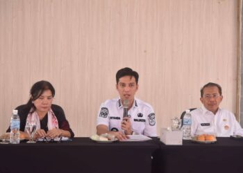 Wako Sawahlunto Gelar Audiensi Bersama Kemenbud RI