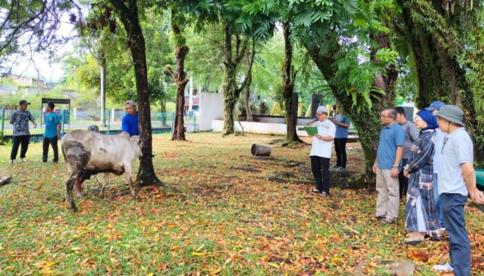 UBH Distribusikan Daging Kurban di Kampus 1 dan II