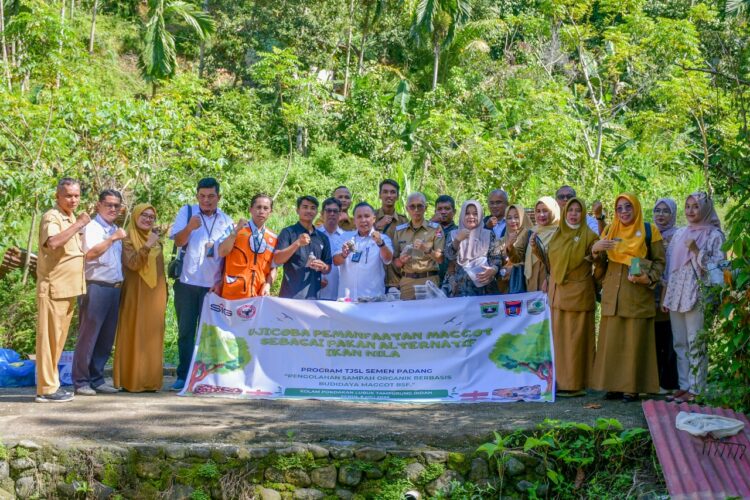 PT Semen Padang, anak usaha PT Semen Indonesia (Persero) Tbk atau SIG, menggandeng Pemerintah Kota Padang dan Universitas Andalas untuk menguji pemanfaatan larva Black Soldier Fly (BSF) atau maggot sebagai pakan alternatif ikan nila. IST