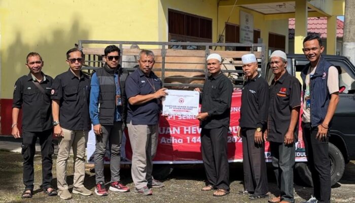 Idul Adha 1446 H, Semen Padang Tebar Manfaat Lewat 34 Ekor Sapi Kurban