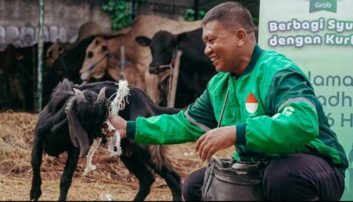 Peringati Iduladha, Grab Bagikan Ratusan Ekor Kambing kepada Mitra Pengemudi