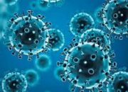 Varian Baru COVID-19 Muncul di 2025, Kasus di Indonesia Masih Terkendali