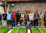 Telkom Innovillage Lahirkan Semerbak-IoT, Alat Monitoring Cerdas Berbasis Internet of Things untuk Membantu Pemeliharaan Bibit Padi Kering