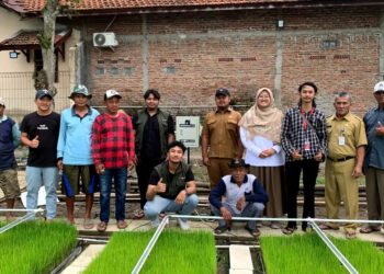 Telkom Innovillage Lahirkan Semerbak-IoT, Alat Monitoring Cerdas Berbasis Internet of Things untuk Membantu Pemeliharaan Bibit Padi Kering