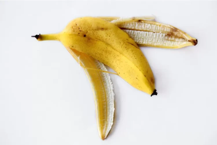 Kulit pisang