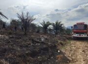 Karhutla Juga Landa Sijunjung, 43 Kasus Terjadi Sejak Awal Tahun