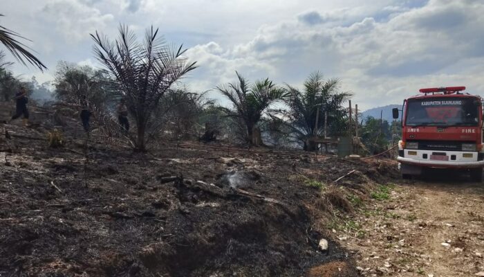 Karhutla Juga Landa Sijunjung, 43 Kasus Terjadi Sejak Awal Tahun