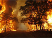 Sumbar Siaga Karhutla, 1.700 Hotspot Terpantau Sepanjang 2025