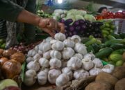 Enam Komoditas Pangan Turun Harga, Bawang Putih Turun Rp1.000 per Kg