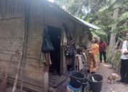 Kondisi Memprihatinkan di Saruaso Tanah Datar, Nenek Ramian dan Anaknya yang Lumpuh Tinggal di Gubuk Tak Layak Huni