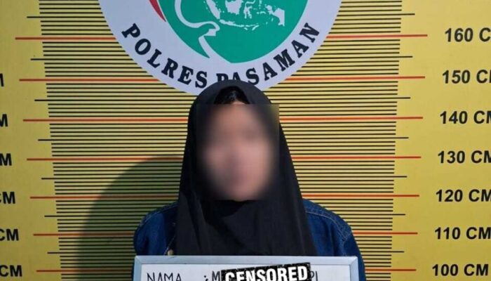 Satresnarkoba Polres Pasaman Bekuk Wanita Pembawa 7 Paket Sabu