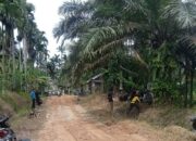 Warga Palembayan Goro Perbaiki Jalan Rusak Demi Kelancaran Akses